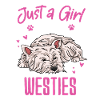 West highland terrier