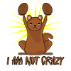 Eichhörnchen Nüsse Crazy Squirrel