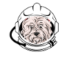 West Highland Terrier