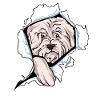 West Highland Terrier