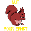 Eichhörnchen Nut your Ernst Squirrel
