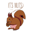 Eichhörnchen c’est Nuts Écureuil