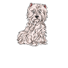 West Highland Terrier