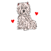 West Highland Terrier