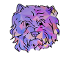 West highland terrier