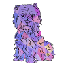 West Highland Terrier