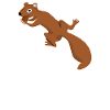 Eichhörnchen Nut my Problem