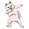 American Eskimo