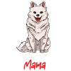 American Eskimo