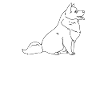 American Eskimo