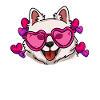 American Eskimo