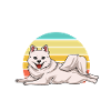 American Eskimo