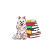 American Eskimo