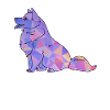 American Eskimo