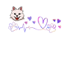 American Eskimo