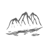 Camping Caravan Caravan Owners