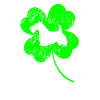 Scottish-terrier St.Patrick’s day Shamrock