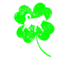 Husky St.Patrick’s day Shamrock