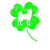 Akita St.Patrick’s day Shamrock