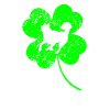 Husky St.Patricks jour Shamrock