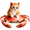 Bébé chat sur crabe