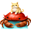 Bébé chat sur crabe