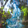 Deathless in Forest abstract
