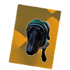Orange Dachshund