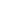 Cleaner