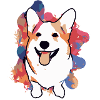 Happy corgi