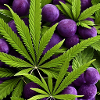 Cannabis violet design weed