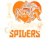 I love jumping spiders