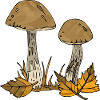 Pilze