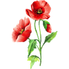 Blumen