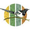Vogel