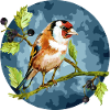 Bunter Vogel