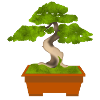 Bonsai