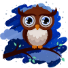 Owl (night sky)