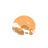 Botswana - Lion