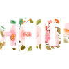 Vorname Heidi