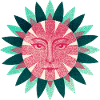 Retro sunflower in magenta