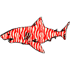 Shark n°1 - zebra pattern variation