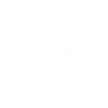 Oiseau blanc et son chapeau