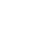 Crocodile Alligator