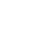 Bohemian Aesthetic Rose