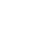 Future Striker