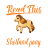 Shetland Pony Gift Shetty