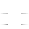 Politiker Beruf