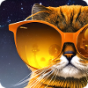 Sunny Cat