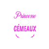 c'est compliqué princesse et gémeaux